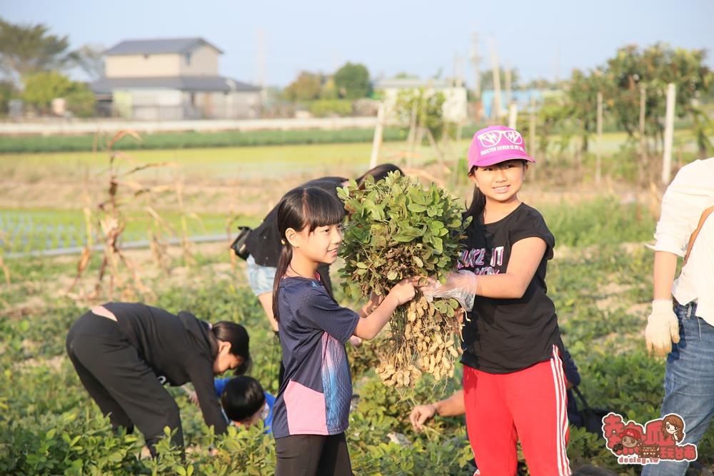 【台南亲子体验】拔花生、萝卜初体验，农田间的亲子大地游乐场：苏大侠亲子农场