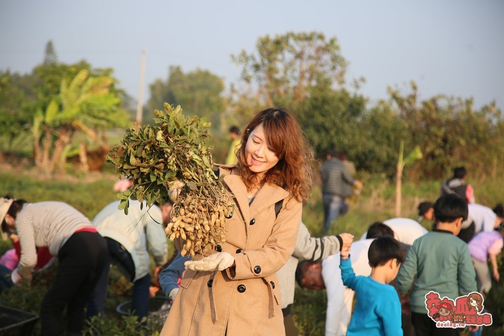 【台南亲子体验】拔花生、萝卜初体验，农田间的亲子大地游乐场：苏大侠亲子农场